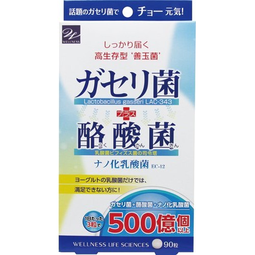 Wellness Gasseri bacteria + Butyric acid bacteria, Лактобактерии + маслянокислые бактерии 90 таблеток на 30 дней